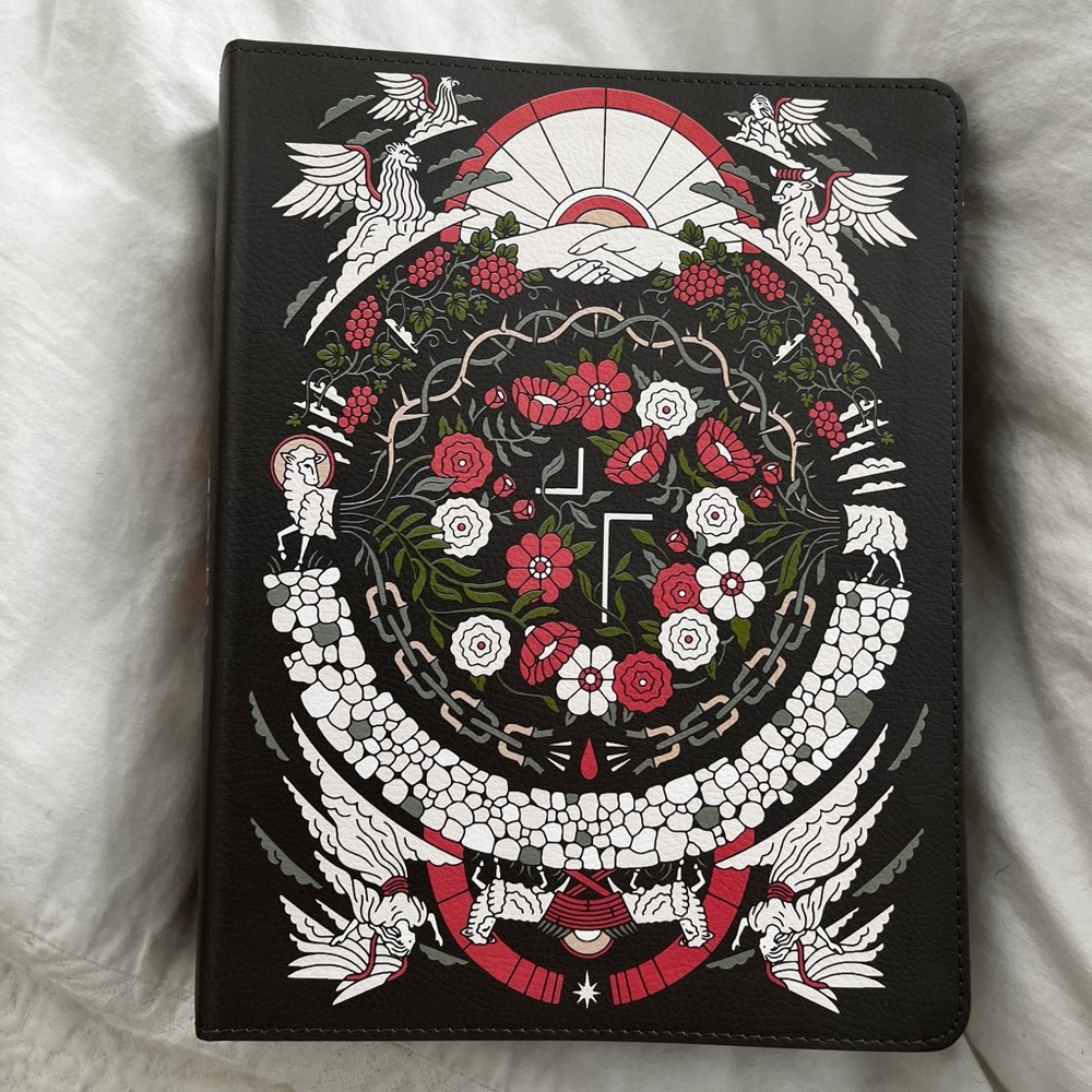Passion Jesus Bible Artist Edition